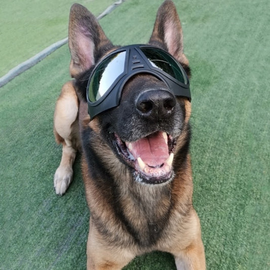 Waterproof Snow-Proof Pet Goggles