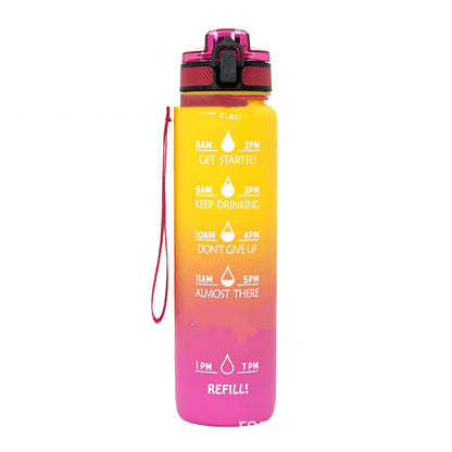 Frosted Gradient Sports Water Bottle