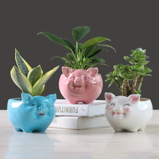 Mini Piggy Ceramic Succulent Flower Pot