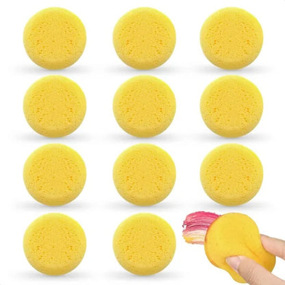 12pc Face Painting Pottery Sponges