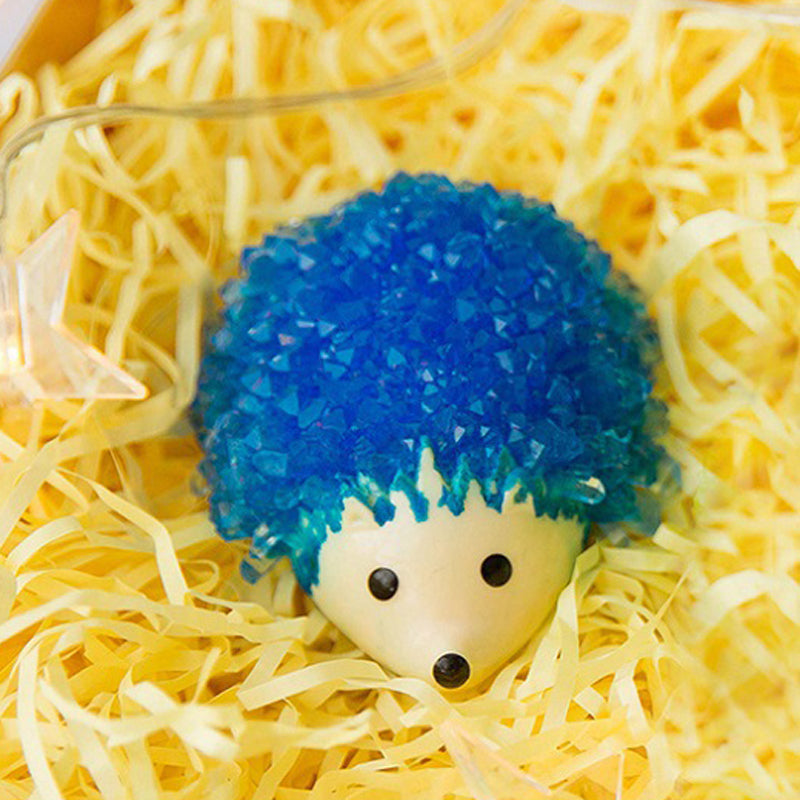 Crystals Magic Hedgehog Chemistry Kit