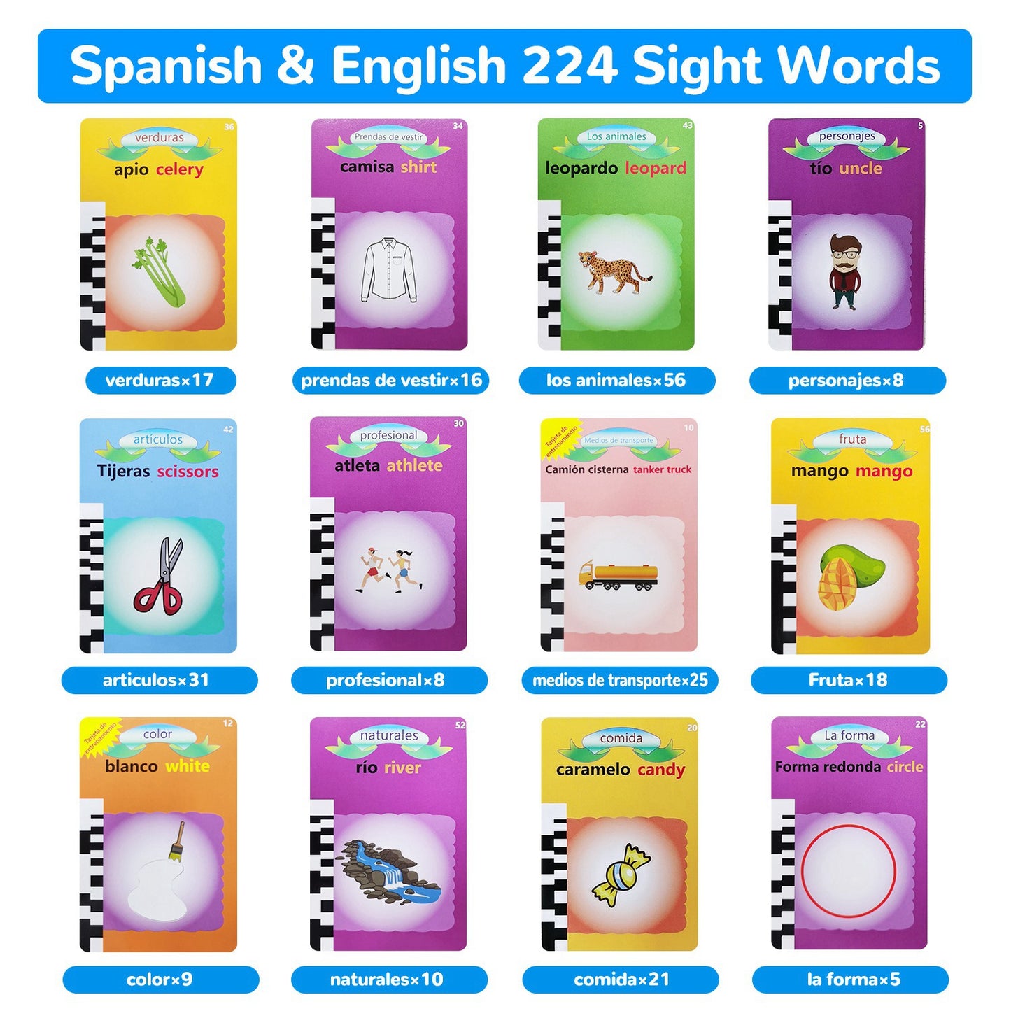 Bilingual Talking Flash Cards - Spanish & English