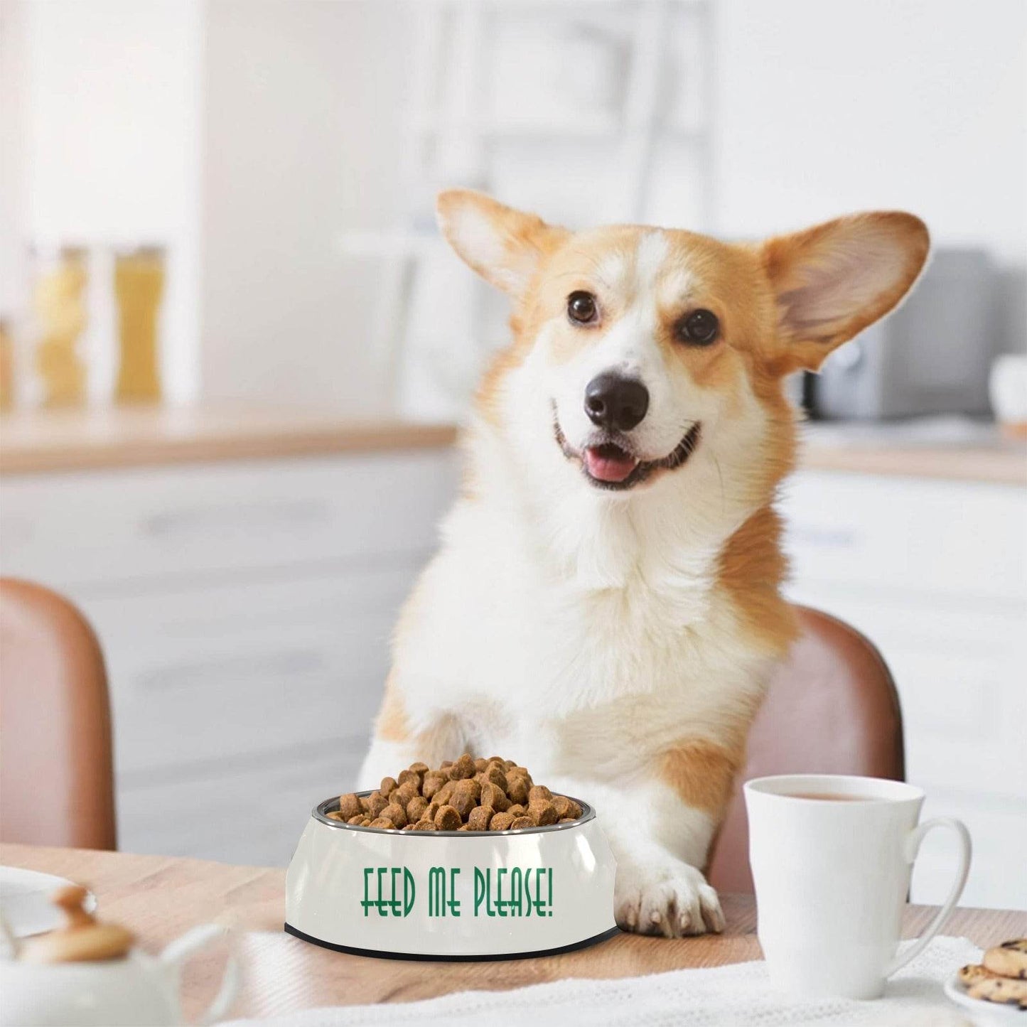 Feed Me Pet Bowl - Shop Jobie