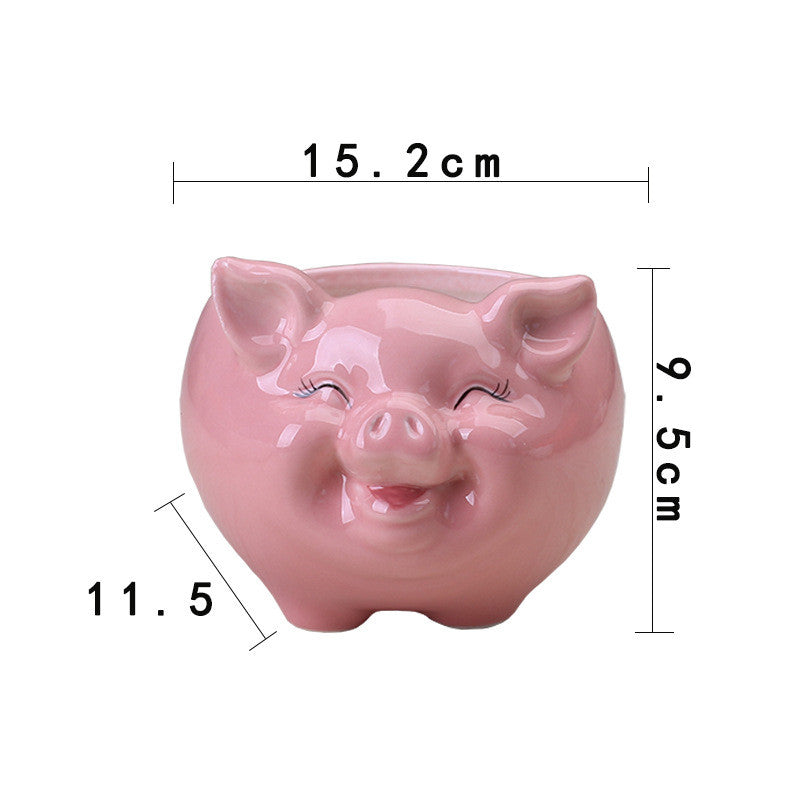 Mini Piggy Succulent Flower Pot