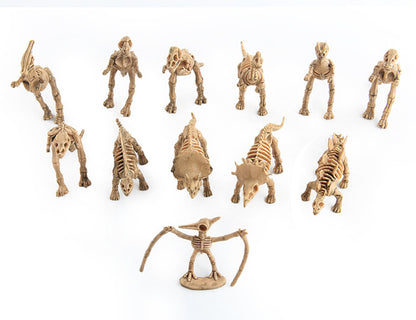 Dinosaur Educational Toys