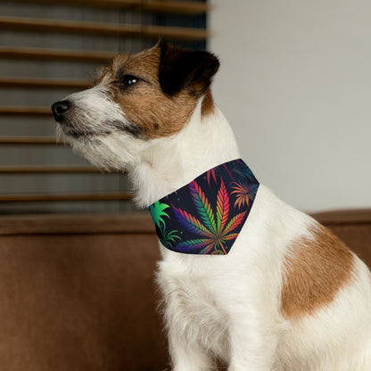 420 Neon Pet Bandana Collar