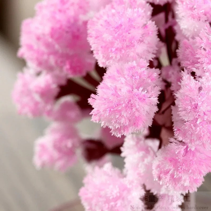 DIY Paper Experiment - Magic Cherry Blossom Tree