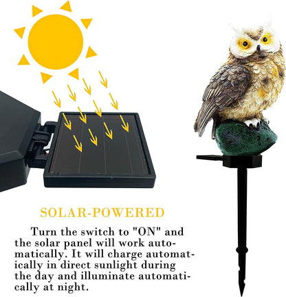 Solar Garden Light Outdoor