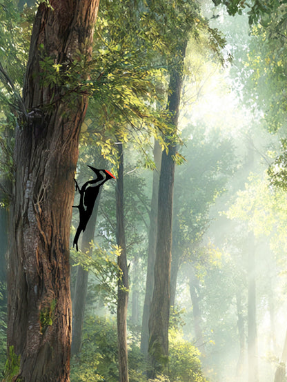 Silhouette - Metal Woodpecker Yard Art