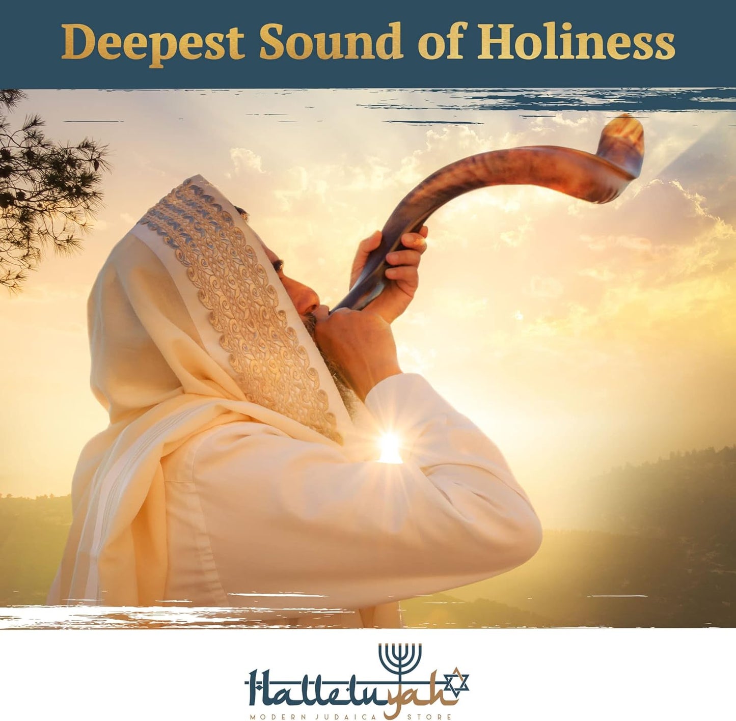 Yemenite Kudu Shofar from Israel plus Free Bonus Ram Horn