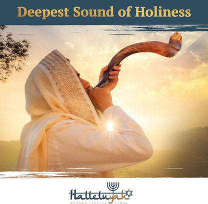 Yemenite Kudu Shofar from Israel plus Free Bonus Ram Horn