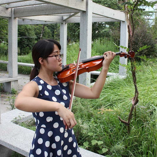 Natural Color Solid Wood Violin Beginner Practice