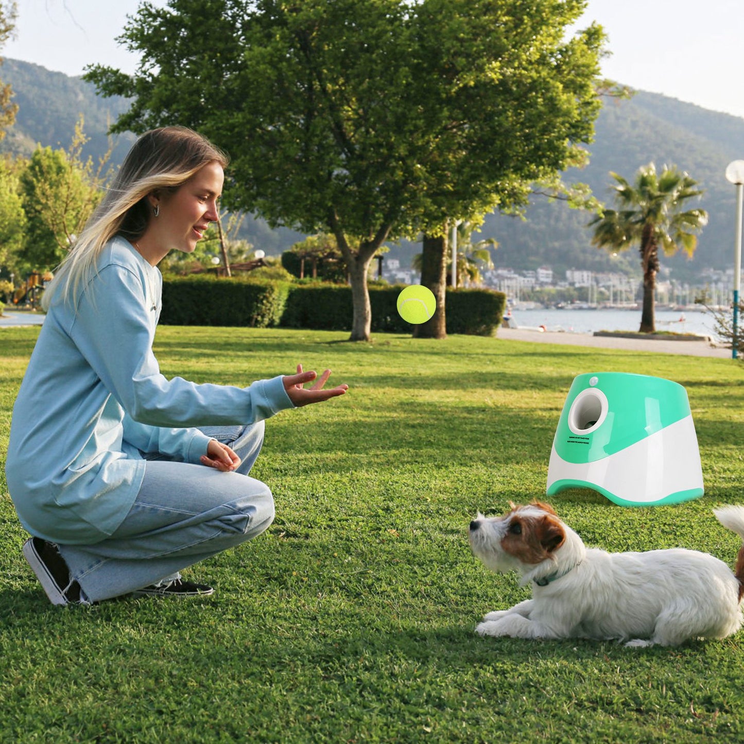 1pc Automatic Dog Ball Launcher