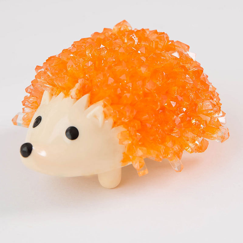 Crystals Magic Hedgehog Chemistry Kit