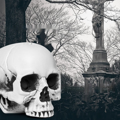 Halloween Skull Skeleton Loose Bone Decorations