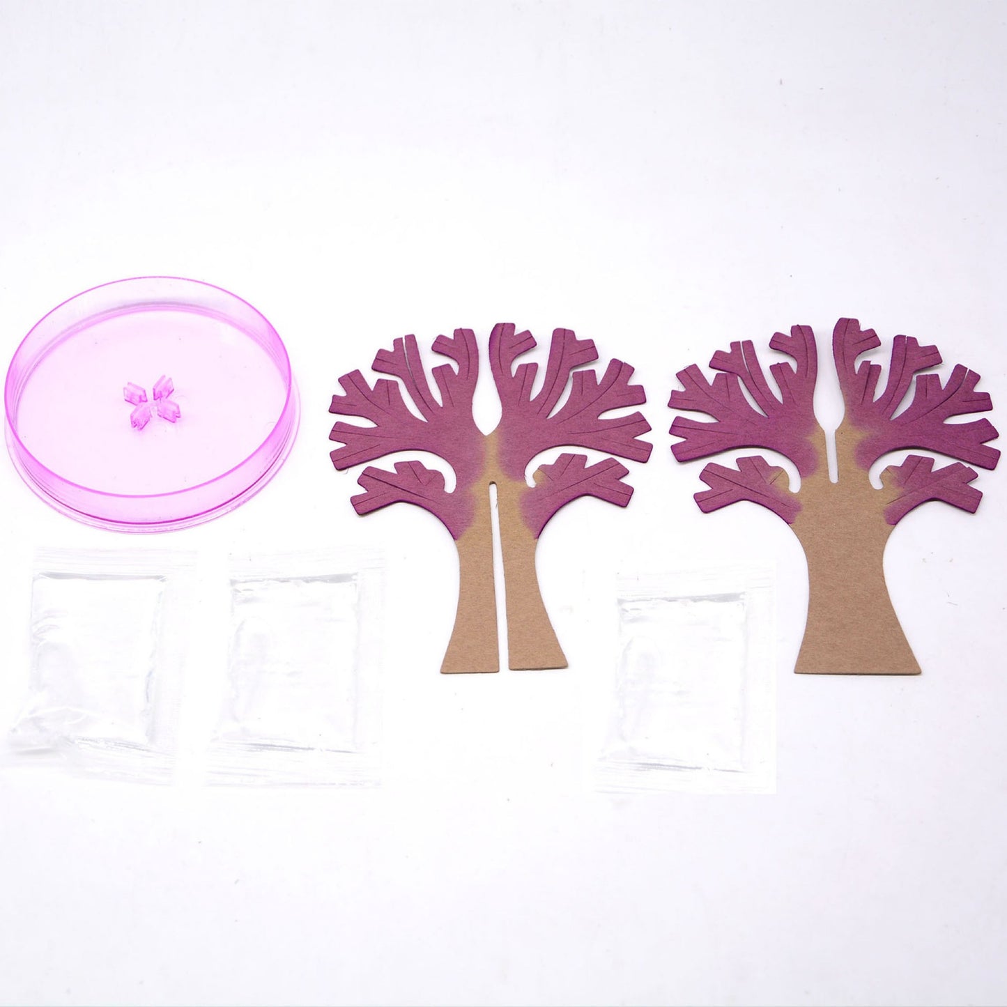 DIY Paper Experiment - Magic Cherry Blossom Tree