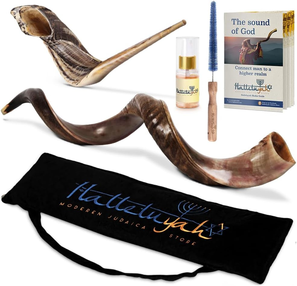 Yemenite Kudu Shofar from Israel plus Free Bonus Ram Horn