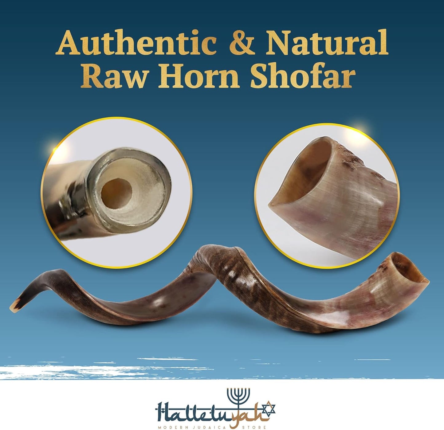 Yemenite Kudu Shofar from Israel plus Free Bonus Ram Horn