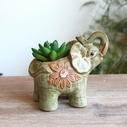 Succulent Flower Pot