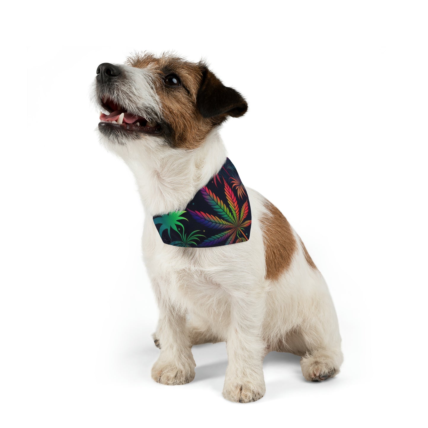 420 Neon Pet Bandana Collar