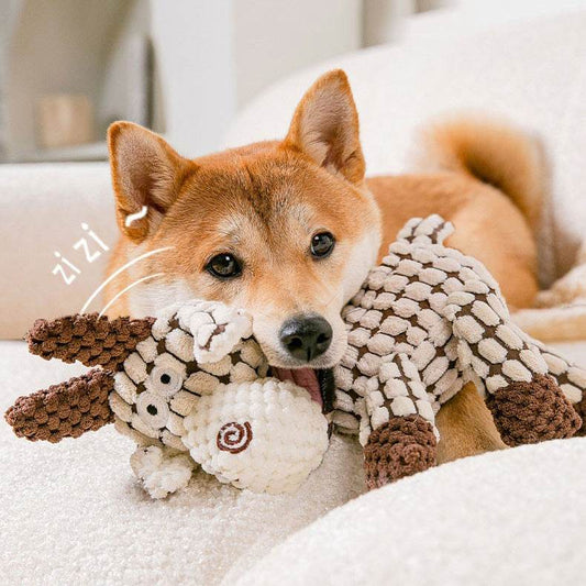 Squeaky Dog Training & Chew Toy - Shop Jobie