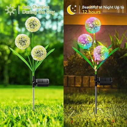 LED Solar Dandelion Flower Light - Shop Jobie