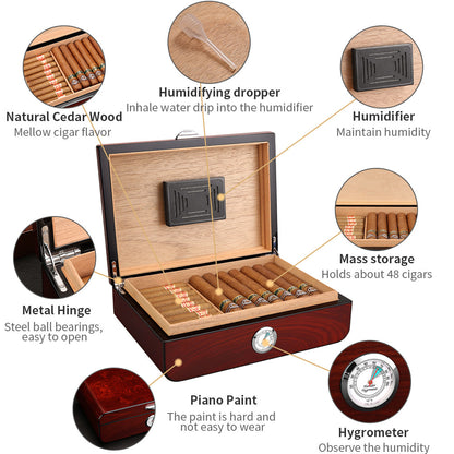 Cigar Humidor Large Capacity