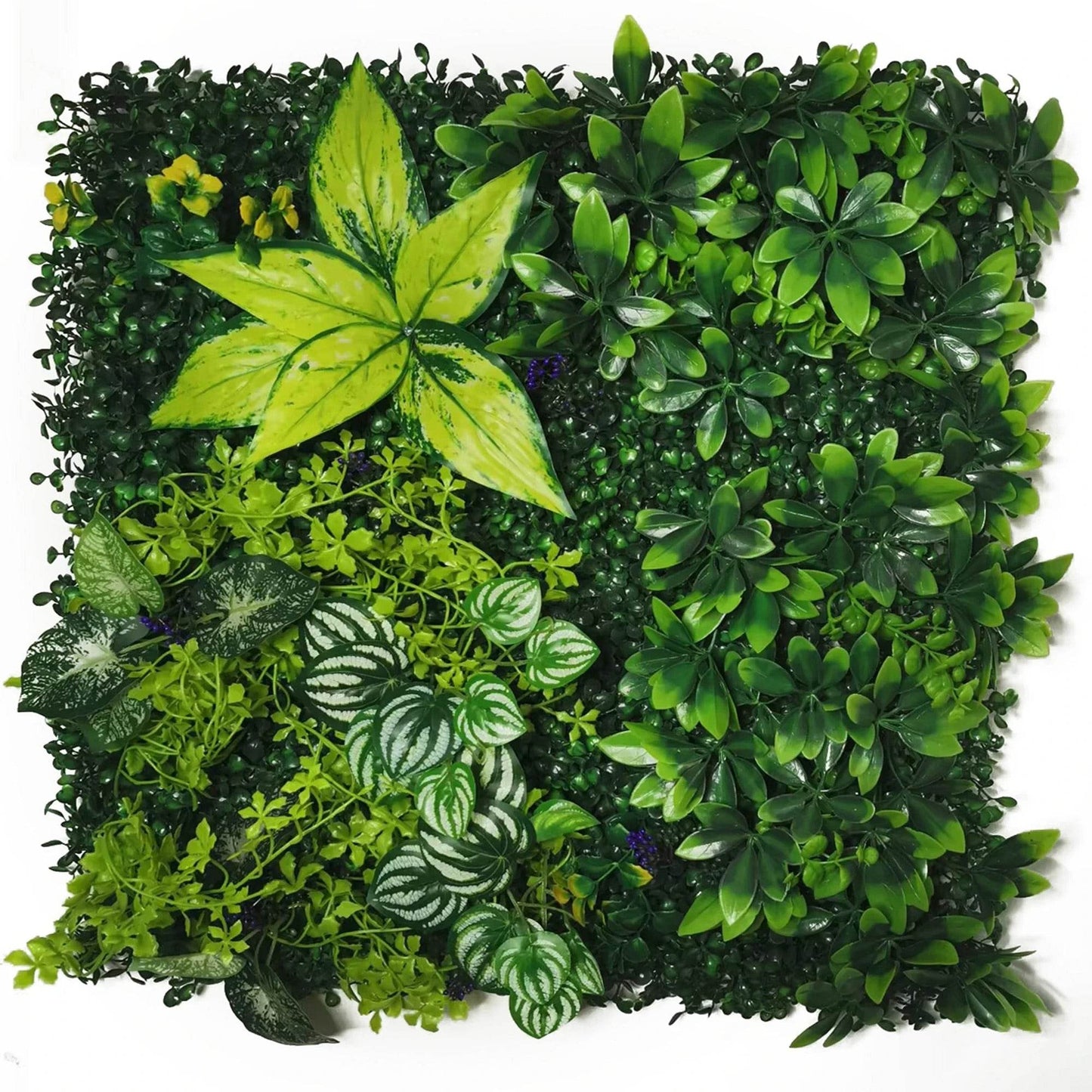 Artificial Green Lawn Backgdrop - Lily Panel - Shop Jobie