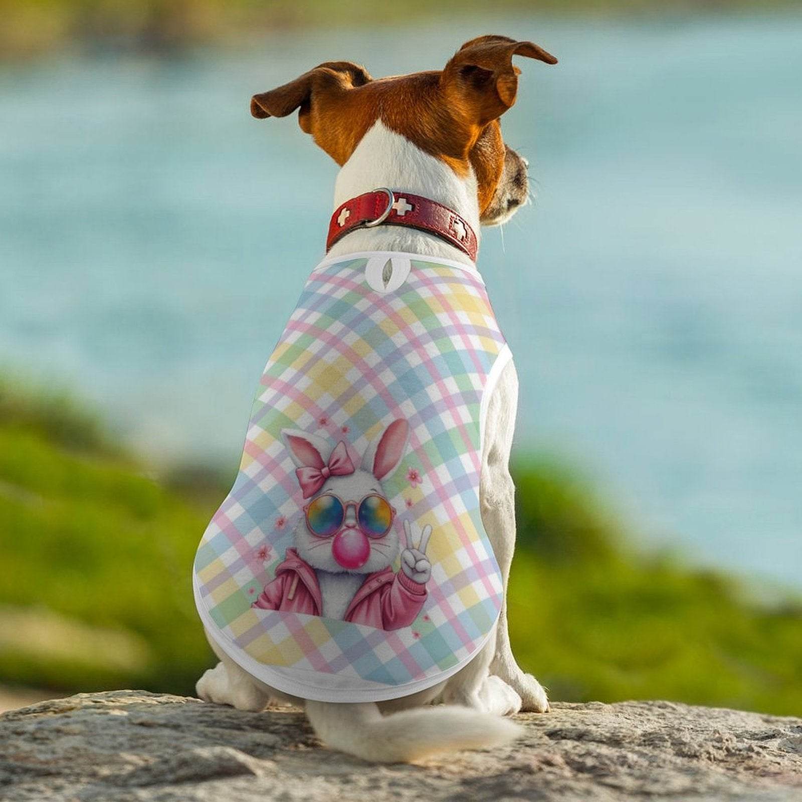 Easter Bunny Pet Vest - Shop Jobie