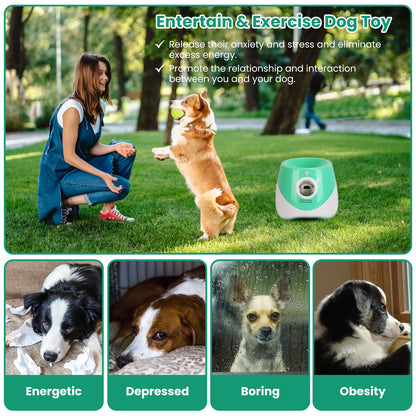 1pc Automatic Dog Ball Launcher