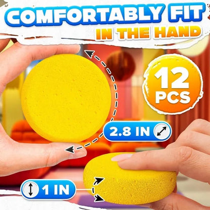 12pc Face Painting Pottery Sponges