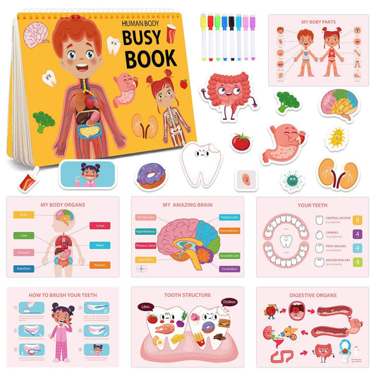 Body Structure & Cognition Busy Book - Shop Jobie