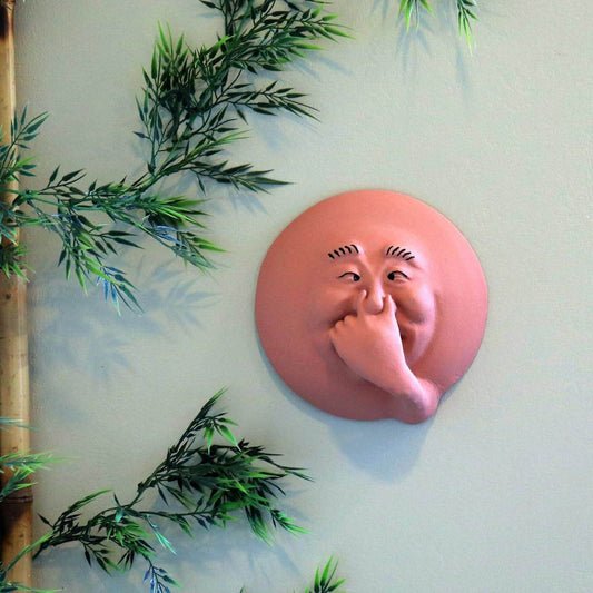 Smelly Face Sam Funny Wall Hanging - Shop Jobie