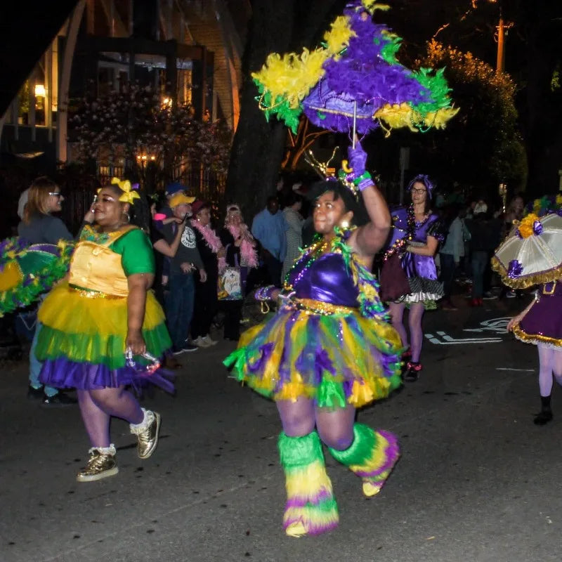 1pc Mardi Gras Feather Boa  - 6ft