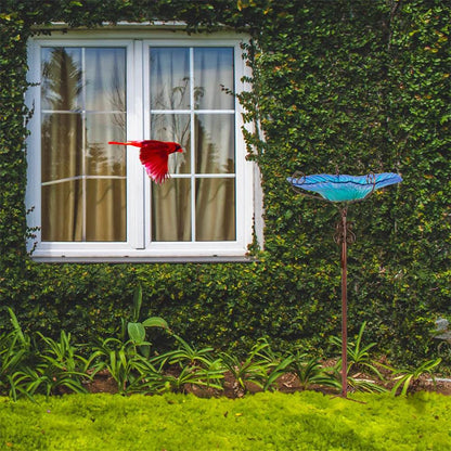 Large Outdoor Glass Bird Bath - Shop Jobie