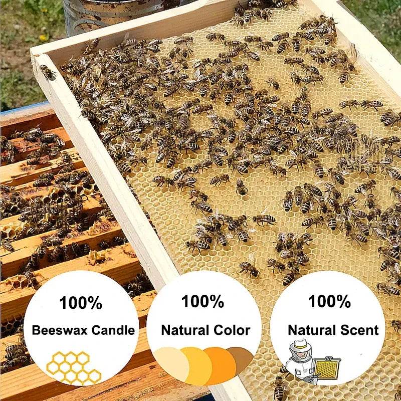 25pcs/1pack Hanukkah Candle Natural Beeswax - Shop Jobie