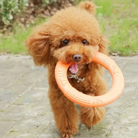 Dog Flying Disk Training Ring Toy