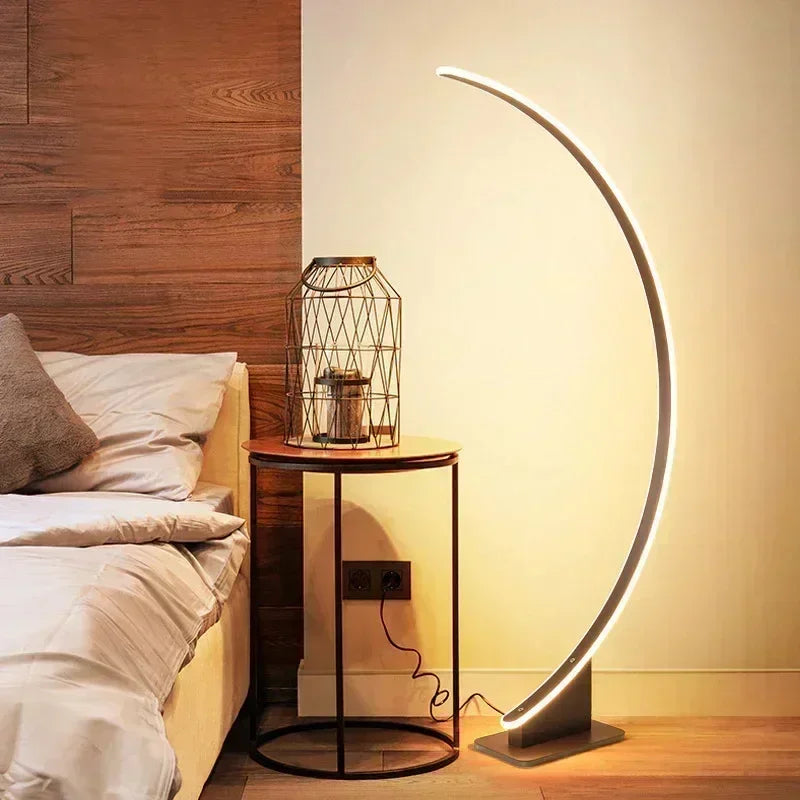 Minimalistic Arched Floor Lamp