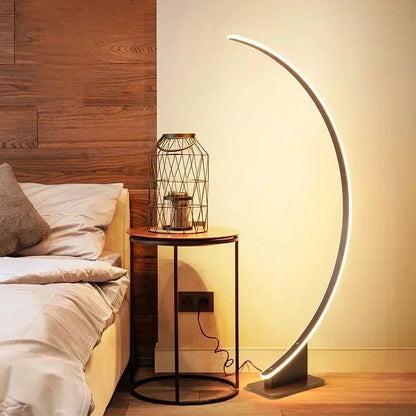 Minimalistic Arched Floor Lamp