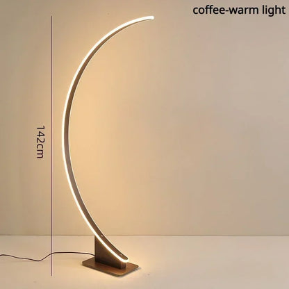 Minimalistic Arched Floor Lamp