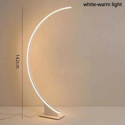 Minimalistic Arched Floor Lamp