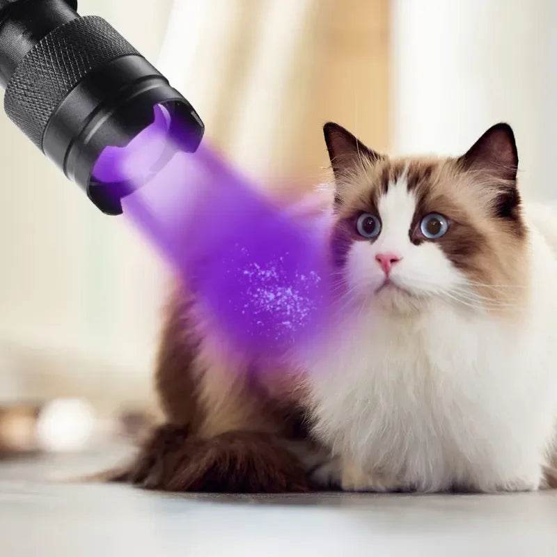 Mini LED Ultraviolet Flashlight - Shop Jobie