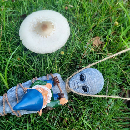 Funny Outdoor Gnomes and Alien