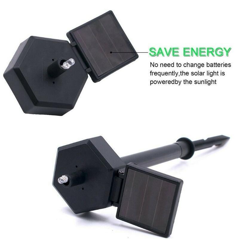 Solar Garden Light Outdoor