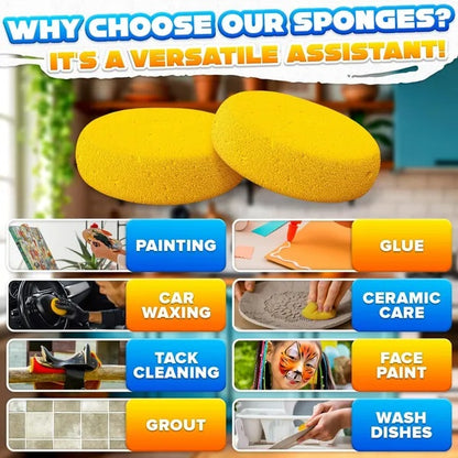 12pc Face Painting Pottery Sponges