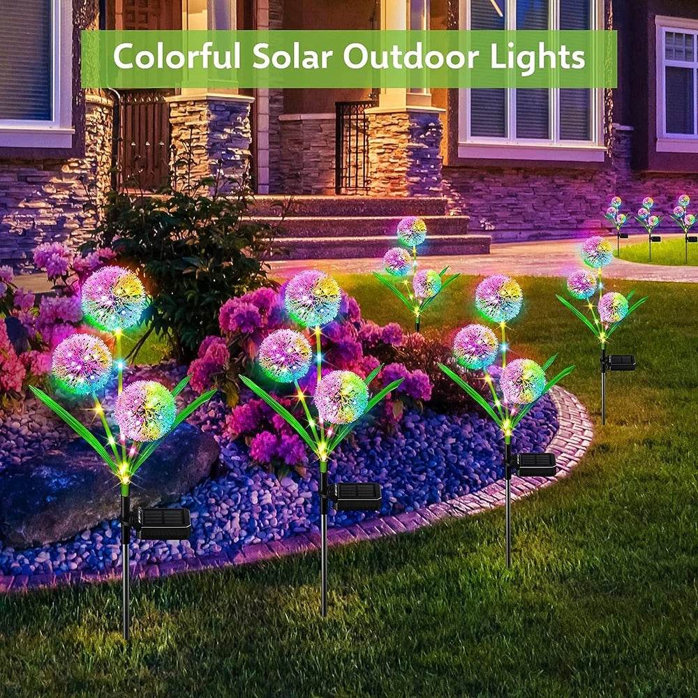 LED Solar Dandelion Flower Light - Shop Jobie