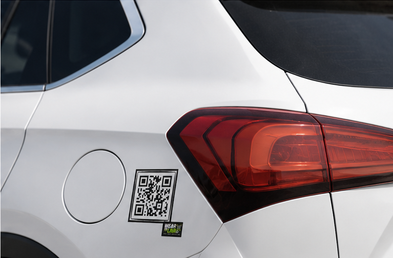 WEAR THE LINK - Car Stickers