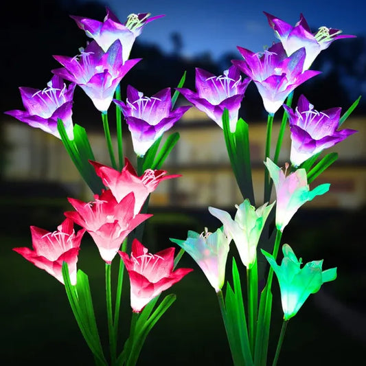 Light Up Your Garden With a Little Flower Magic - Lily Flowers
