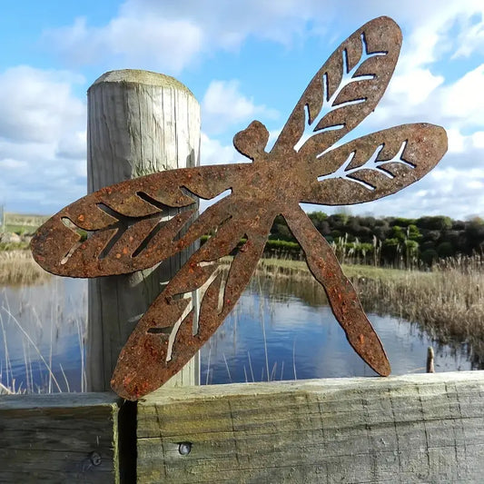 Rusty Dragonfly