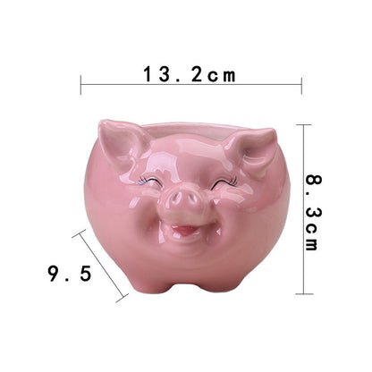 Mini Piggy Succulent Flower Pot